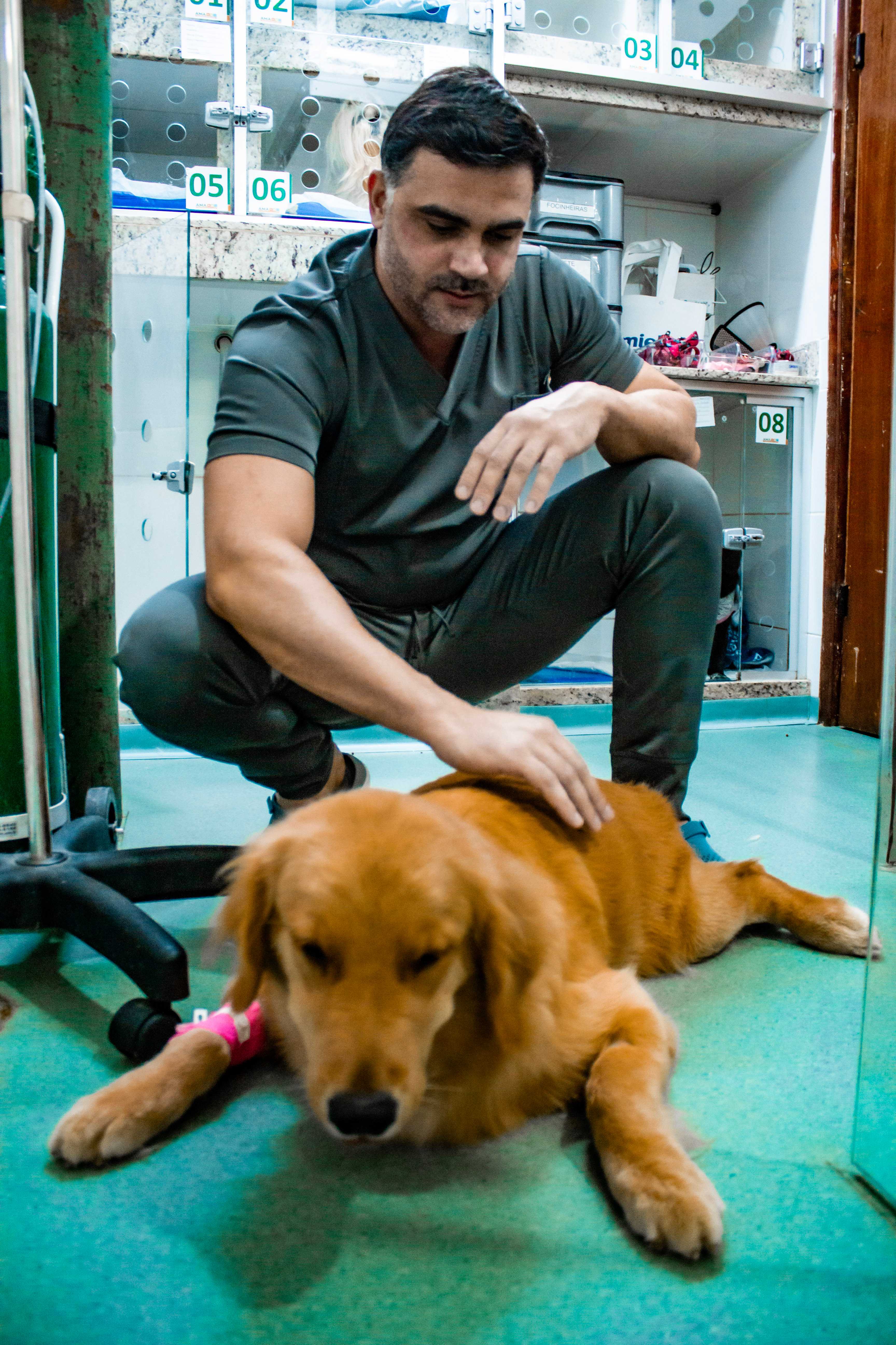 Foto da Galeria